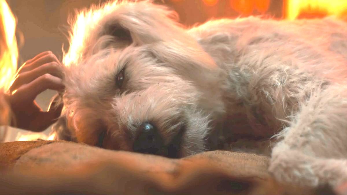 sad krypto supergirl trailer