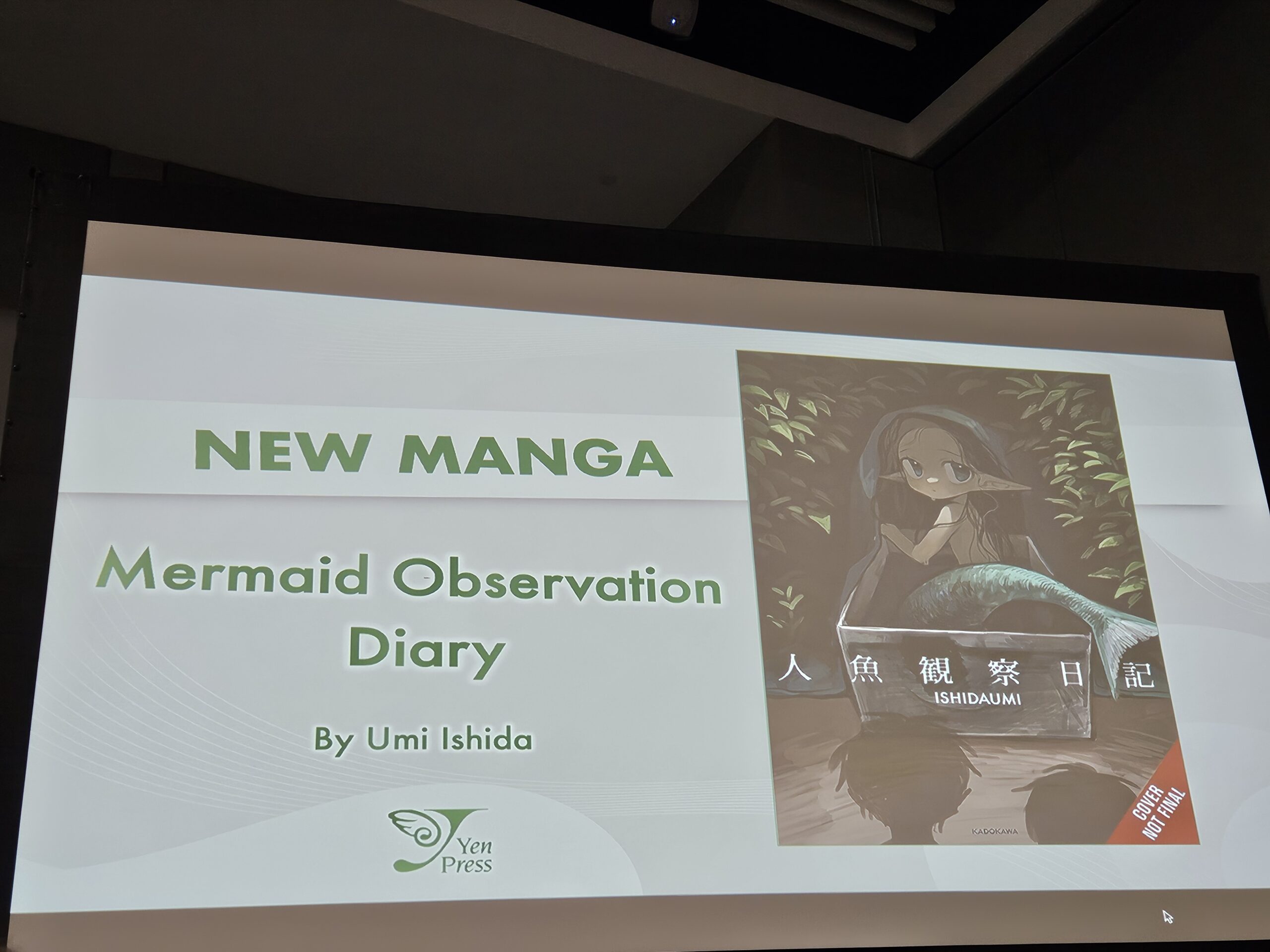 mermaid observation diary